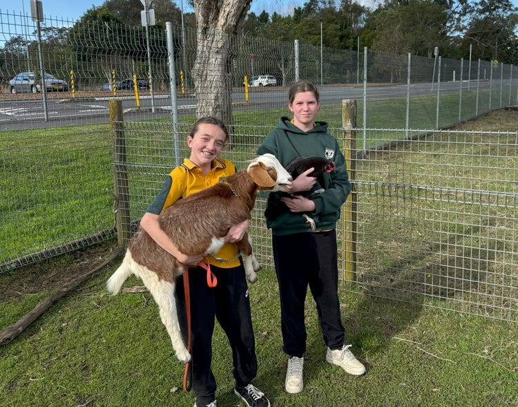 Ag Farm students with animals